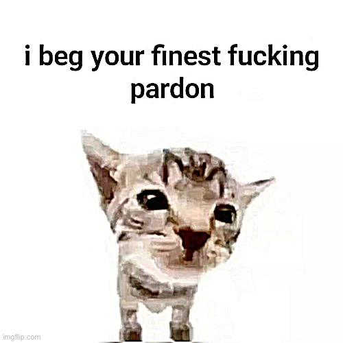 I beg your finest pardon | image tagged in i beg your finest pardon | made w/ Imgflip meme maker