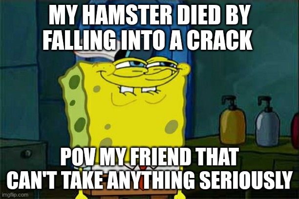 MY HAMSTERRR | MY HAMSTER DIED BY FALLING INTO A CRACK; POV MY FRIEND THAT CAN'T TAKE ANYTHING SERIOUSLY | image tagged in memes,don't you squidward | made w/ Imgflip meme maker
