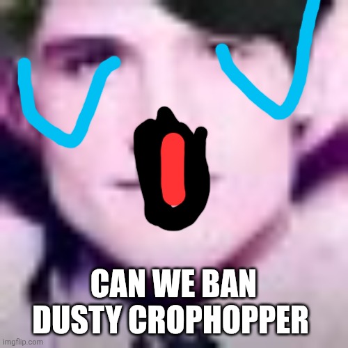 Uhhhhhhhhhhh | CAN WE BAN DUSTY CROPHOPPER | image tagged in uhhhhhhhhhhh,snowflake | made w/ Imgflip meme maker