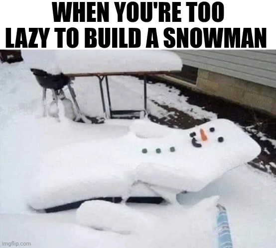 When You're Too Lazy To Build A Snowman | WHEN YOU'RE TOO LAZY TO BUILD A SNOWMAN | image tagged in chrisjoines1 | made w/ Imgflip meme maker