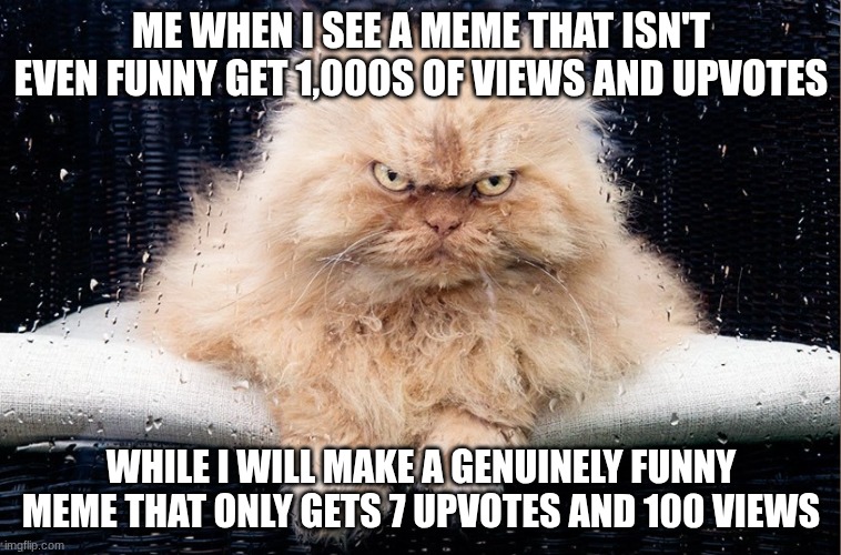 UPSET CAT | ME WHEN I SEE A MEME THAT ISN'T EVEN FUNNY GET 1,000S OF VIEWS AND UPVOTES; WHILE I WILL MAKE A GENUINELY FUNNY MEME THAT ONLY GETS 7 UPVOTES AND 100 VIEWS | image tagged in upset cat | made w/ Imgflip meme maker