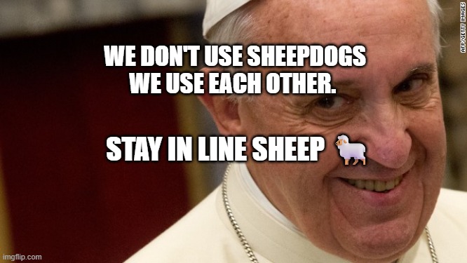 pope francis  | WE DON'T USE SHEEPDOGS  WE USE EACH OTHER. STAY IN LINE SHEEP 🐑 | image tagged in pope francis | made w/ Imgflip meme maker