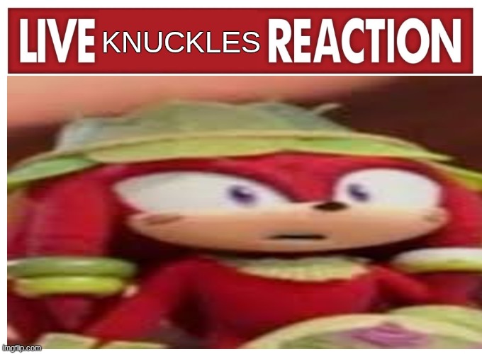 live Knuckles reaction | KNUCKLES | image tagged in live reaction | made w/ Imgflip meme maker