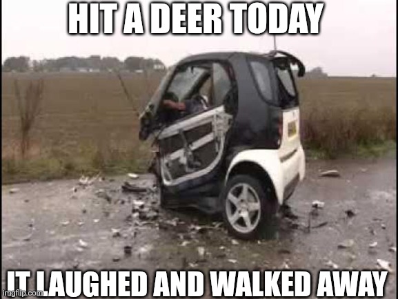 Hit A Deer Today | HIT A DEER TODAY; IT LAUGHED AND WALKED AWAY | image tagged in chrisjoines1 | made w/ Imgflip meme maker