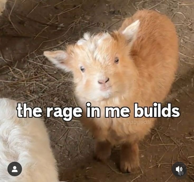 the rage in me builds Blank Meme Template