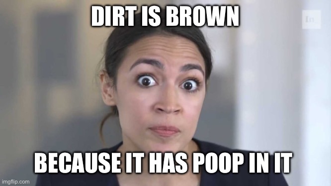 Average Democrat logic | DIRT IS BROWN; BECAUSE IT HAS POOP IN IT | image tagged in crazy alexandria ocasio-cortez,liberal logic,lol | made w/ Imgflip meme maker