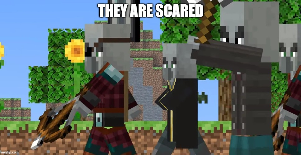 Pillager Patrol | THEY ARE SCARED | image tagged in pillager patrol | made w/ Imgflip meme maker