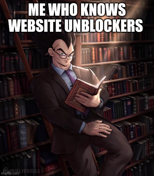 Librarian Vegeta | ME WHO KNOWS WEBSITE UNBLOCKERS | image tagged in librarian vegeta | made w/ Imgflip meme maker
