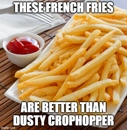 FRENCH Fries | THESE FRENCH FRIES; ARE BETTER THAN DUSTY CROPHOPPER | image tagged in french fries | made w/ Imgflip meme maker