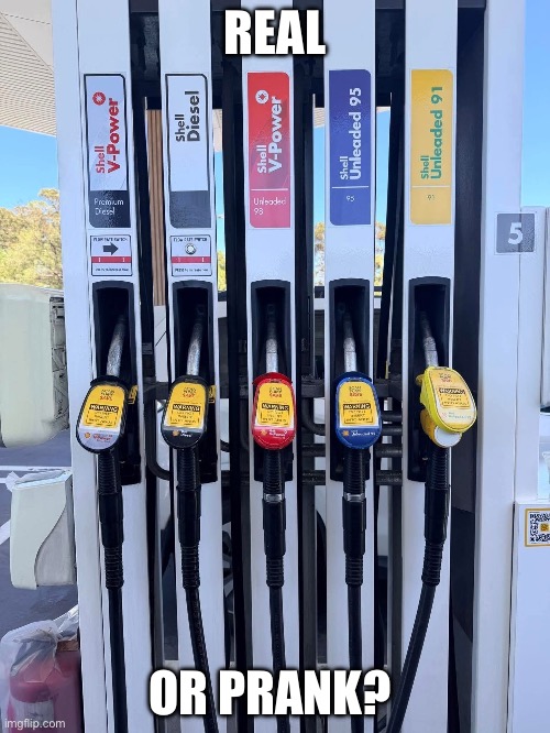 Do not insert | REAL; OR PRANK? | image tagged in do not cite the deep magic to me witch,anus,fuel,guy goes to insert text here,prank,stupid | made w/ Imgflip meme maker