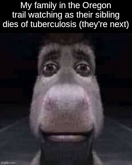 Good times good times. | My family in the Oregon trail watching as their sibling dies of tuberculosis (they're next) | image tagged in donkey staring | made w/ Imgflip meme maker