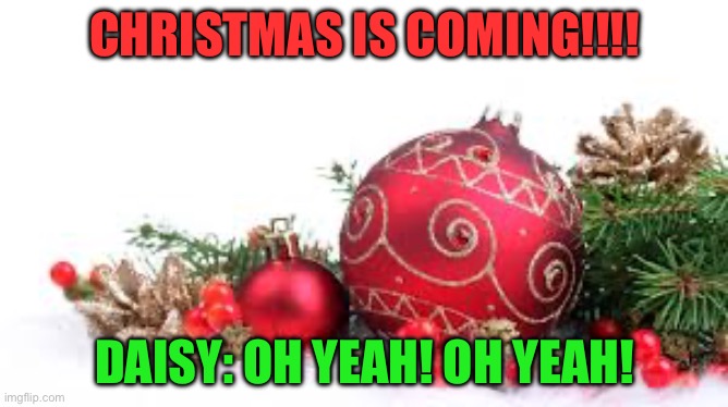 Christmas is Coming up! | CHRISTMAS IS COMING!!!! DAISY: OH YEAH! OH YEAH! | image tagged in christmas ornament | made w/ Imgflip meme maker