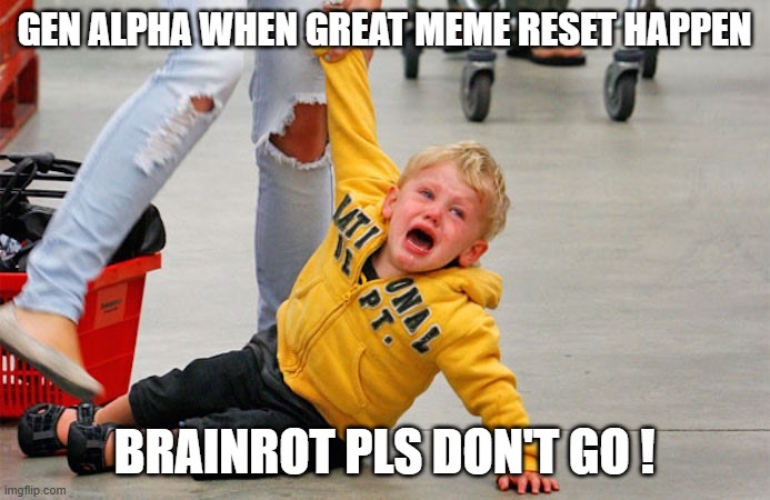GEN ALPHA WHEN GREAT MEME RESET HAPPEN BRAINROT PLS DON'T GO ! | image tagged in kid on floor in supermarket | made w/ Imgflip meme maker