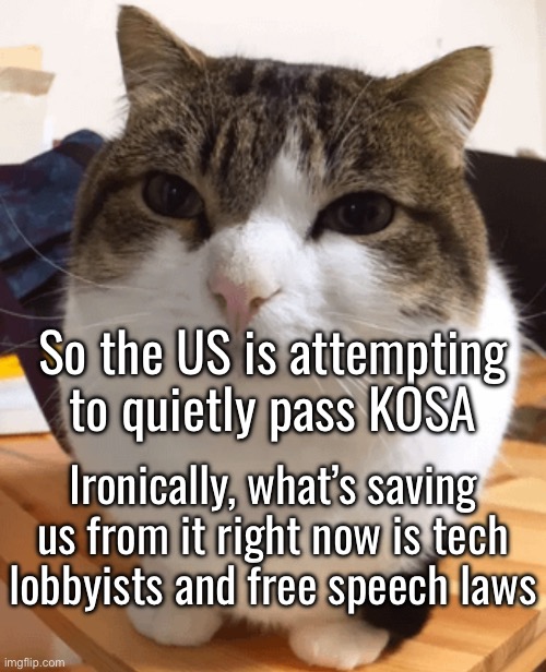 Deadass, the only reason this thing is stalled is because Meta is lobbying against it | So the US is attempting to quietly pass KOSA; Ironically, what’s saving us from it right now is tech lobbyists and free speech laws | image tagged in oh the misery original | made w/ Imgflip meme maker