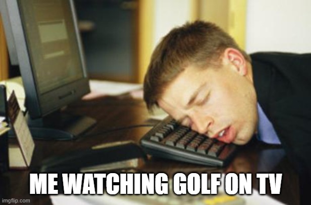 ME WATCHING GOLF ON TV | image tagged in falling asleep | made w/ Imgflip meme maker