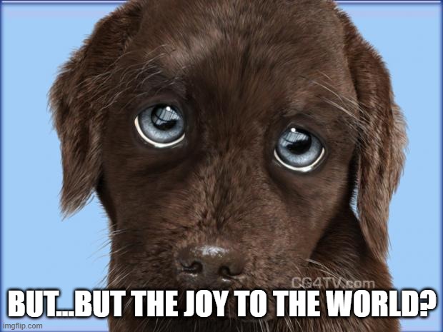Puppy dog eyes | BUT...BUT THE JOY TO THE WORLD? | image tagged in puppy dog eyes | made w/ Imgflip meme maker