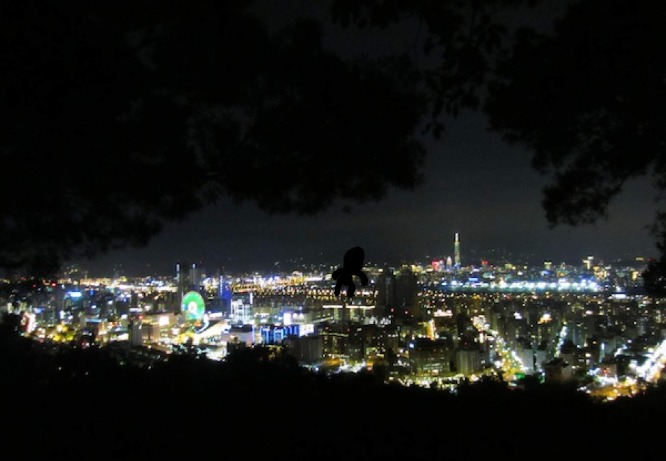 SCP-922-J Blank Meme Template