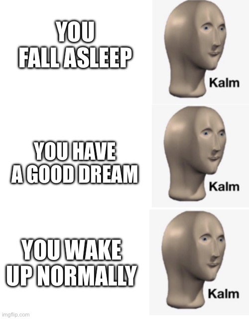 when you have a good night: | YOU FALL ASLEEP; YOU HAVE A GOOD DREAM; YOU WAKE UP NORMALLY | image tagged in kalm kalm kalm,new meme template,funny,memes,kalm,bed | made w/ Imgflip meme maker