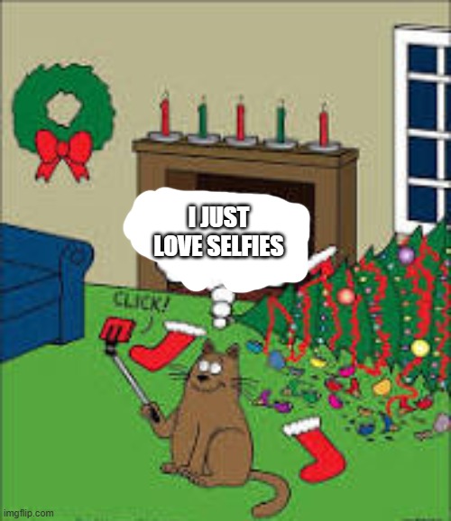 This cat just loves selfies at Christmas time.   --  funny  -- | I JUST LOVE SELFIES | image tagged in cat,kittens,funny,humor,christmas,selfies | made w/ Imgflip meme maker