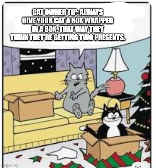 Always give your cat a box wrapped in a box. She'll think she's getting 2 presents. | CAT OWNER TIP: ALWAYS GIVE YOUR CAT A BOX WRAPPED IN A BOX. THAT WAY THEY THINK THEY'RE GETTING TWO PRESENTS. | made w/ Imgflip meme maker