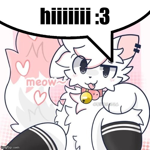 femboy boykisser speech bubble | hiiiiiii :3 | image tagged in femboy boykisser speech bubble | made w/ Imgflip meme maker