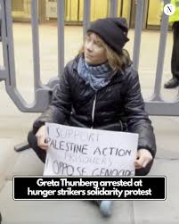 Greta Thunberg Blank Meme Template