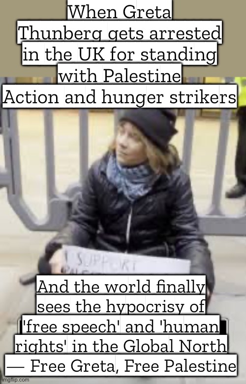 The Global North: 'We stand for human rights and free speech' — unless it’s against our arms trade hypocrisy. | When Greta Thunberg gets arrested in the UK for standing with Palestine Action and hunger strikers; And the world finally sees the hypocrisy of 'free speech' and 'human rights' in the Global North — Free Greta, Free Palestine | image tagged in greta thunberg,freedom,greta thunberg how dare you,hunger,palestine,human rights | made w/ Imgflip meme maker