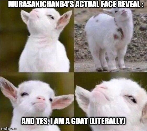 Me irl | MURASAKICHAN64'S ACTUAL FACE REVEAL :; AND YES, I AM A GOAT (LITERALLY) | image tagged in shitpost | made w/ Imgflip meme maker