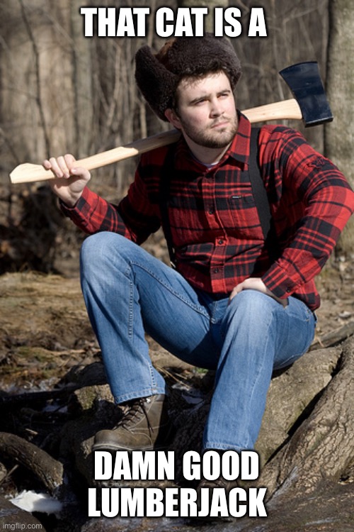 Solemn Lumberjack Meme | THAT CAT IS A DAMN GOOD LUMBERJACK | image tagged in memes,solemn lumberjack | made w/ Imgflip meme maker