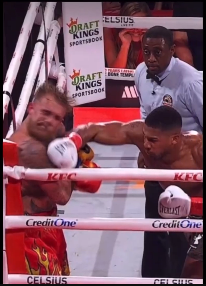 Jake paul Blank Meme Template