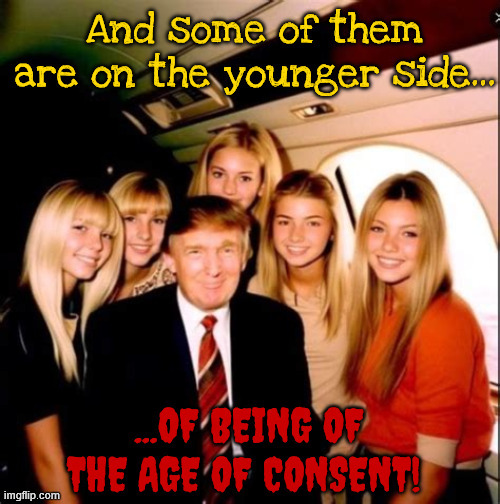 And some of them are on the younger side | image tagged in and some of them are on the younger side,i never flew on the epstein plane,you look like ivanka,daddy it's me,maga the molester | made w/ Imgflip meme maker