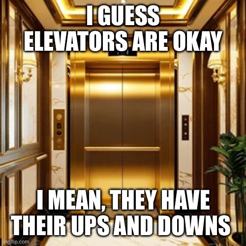 Literally | I GUESS ELEVATORS ARE OKAY; I MEAN, THEY HAVE THEIR UPS AND DOWNS | image tagged in fun,puns,elevator | made w/ Imgflip meme maker