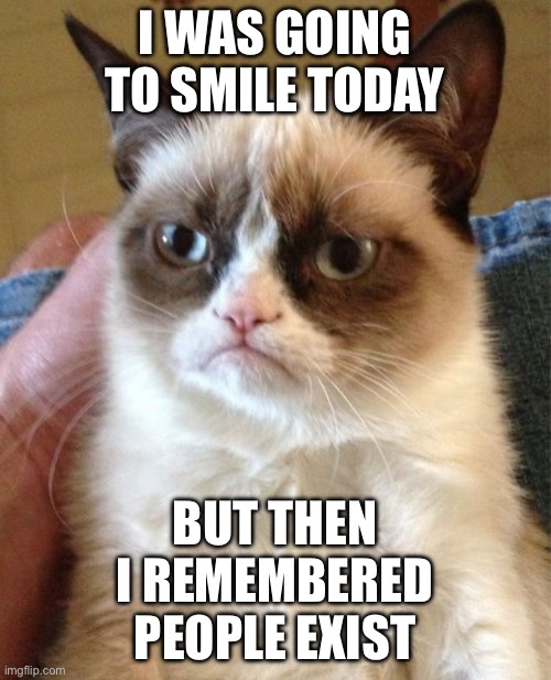 I WAS GOING TO SMILE TODAY; BUT THEN I REMEMBERED PEOPLE EXIST | I WAS GOING TO SMILE TODAY; BUT THEN I REMEMBERED PEOPLE EXIST | image tagged in memes,grumpy cat,smile,people,cats,cat memes | made w/ Imgflip meme maker