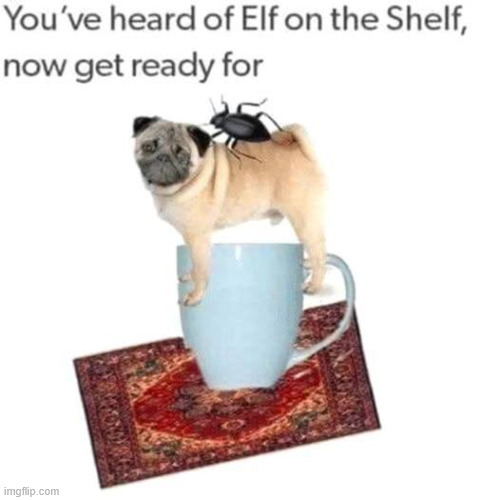 Pug life | image tagged in memes,meme,aaaaaa-memes,pugs,pug | made w/ Imgflip meme maker