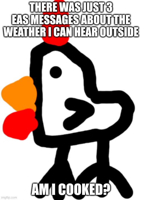 Chicken | THERE WAS JUST 3 EAS MESSAGES ABOUT THE WEATHER I CAN HEAR OUTSIDE; AM I COOKED? | image tagged in chicken | made w/ Imgflip meme maker