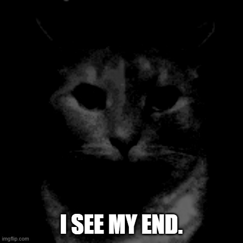 I SEE MY END. | image tagged in cat | made w/ Imgflip meme maker