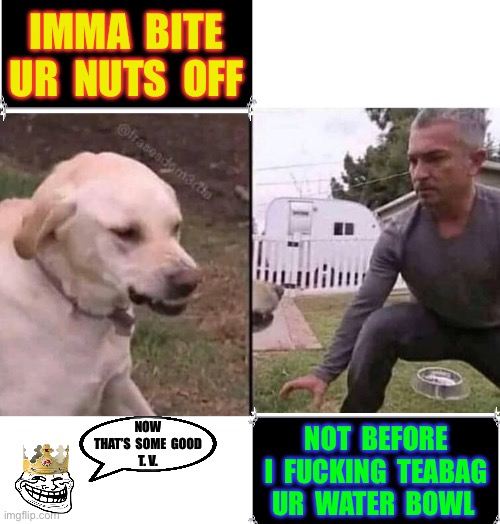 BE KIND TO ANIMALS . . . Regardless Of Their Species !!!  : ) | IMMA  BITE
UR  NUTS  OFF; NOW
THAT’S  SOME  GOOD
T. V. NOT  BEFORE
I  FUCKING  TEABAG
UR  WATER  BOWL | image tagged in my fat friend | made w/ Imgflip meme maker