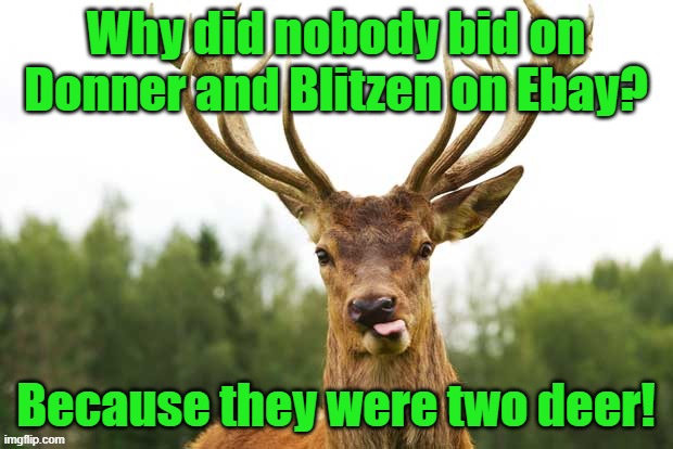 Reindeer | Why did nobody bid on Donner and Blitzen on Ebay? Because they were two deer! | image tagged in reindeer | made w/ Imgflip meme maker