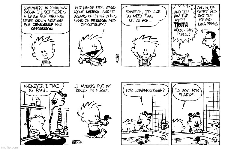 image tagged in calvin and hobbes,comics | made w/ Imgflip meme maker
