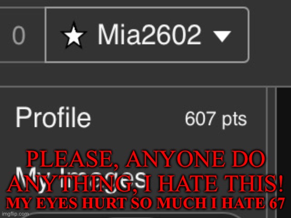 PLEASE, ANYONE DO ANYTHING, I HATE THIS! MY EYES HURT SO MUCH I HATE 67 | image tagged in begging,i hate it when | made w/ Imgflip meme maker