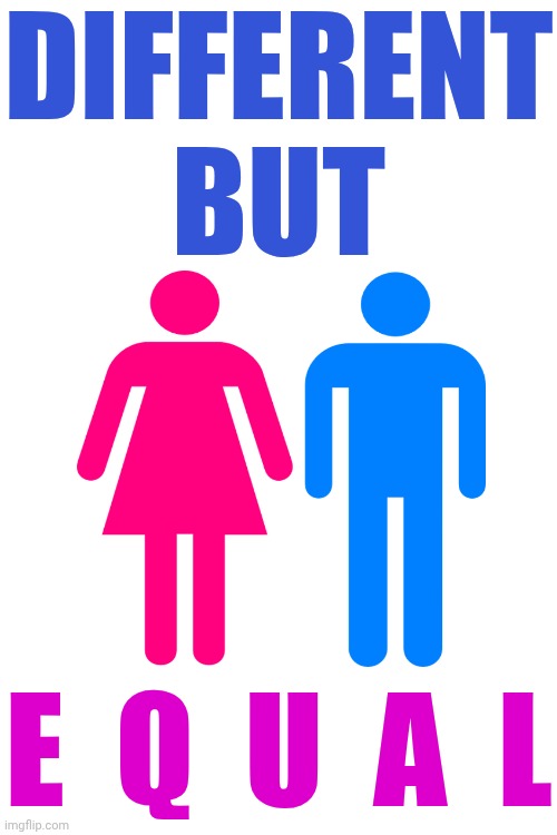 Equality | DIFFERENT BUT; E  Q  U  A  L | image tagged in memes,equality,gender equality,humans,love wins,teamwork makes the dream work | made w/ Imgflip meme maker