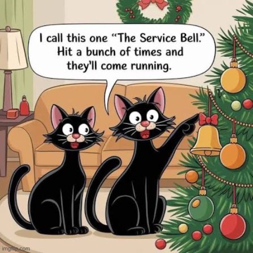 The calm before the storm of the tearing down of the tree… | image tagged in cats,comics,christmas tree,bell | made w/ Imgflip meme maker