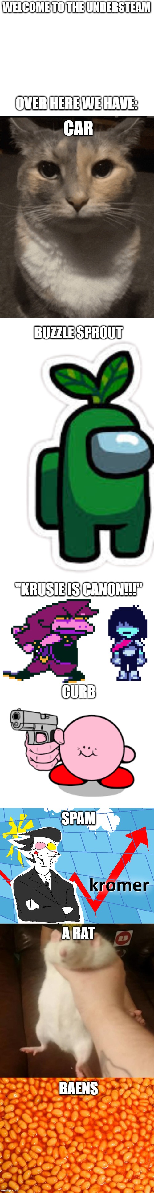 Welcome to the understream! | WELCOME TO THE UNDERSTEAM; OVER HERE WE HAVE:; CAR; BUZZLE SPROUT; "KRUSIE IS CANON!!!"; CURB; SPAM; A RAT; BAENS | image tagged in cat dead stare,green crewmate with sprout,kris and susie,kirby with a gun,kromer,grabbing a fat rat | made w/ Imgflip meme maker