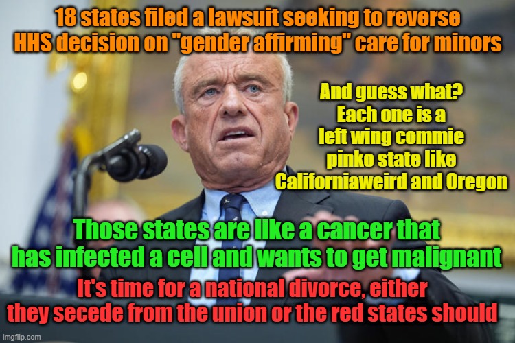 Divorce, with no alimony | 18 states filed a lawsuit seeking to reverse HHS decision on "gender affirming" care for minors; And guess what? Each one is a left wing commie pinko state like Californiaweird and Oregon; Those states are like a cancer that has infected a cell and wants to get malignant; It's time for a national divorce, either they secede from the union or the red states should | image tagged in communism,gender confusion,leftists,lawsuit | made w/ Imgflip meme maker