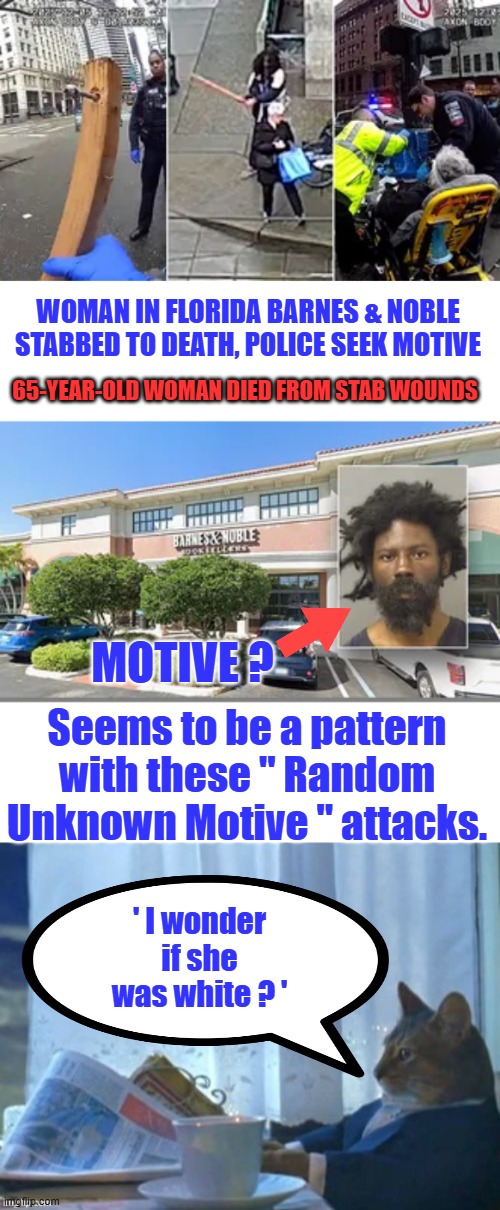 If your white you better except the fact that whites are being targeted. FACT not Racist | WOMAN IN FLORIDA BARNES & NOBLE STABBED TO DEATH, POLICE SEEK MOTIVE; 65-YEAR-OLD WOMAN DIED FROM STAB WOUNDS; MOTIVE ? Seems to be a pattern with these " Random Unknown Motive " attacks. ' I wonder if she was white ? ' | made w/ Imgflip meme maker