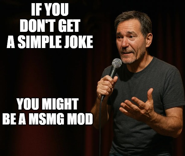 IF YOU DON'T GET A SIMPLE JOKE YOU MIGHT BE A MSMG MOD | made w/ Imgflip meme maker