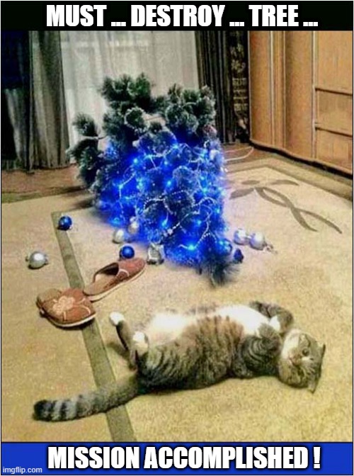Every Year ... | MUST ... DESTROY ... TREE ... MISSION ACCOMPLISHED ! | image tagged in cats,christmas tree,destruction,mission accomplished | made w/ Imgflip meme maker