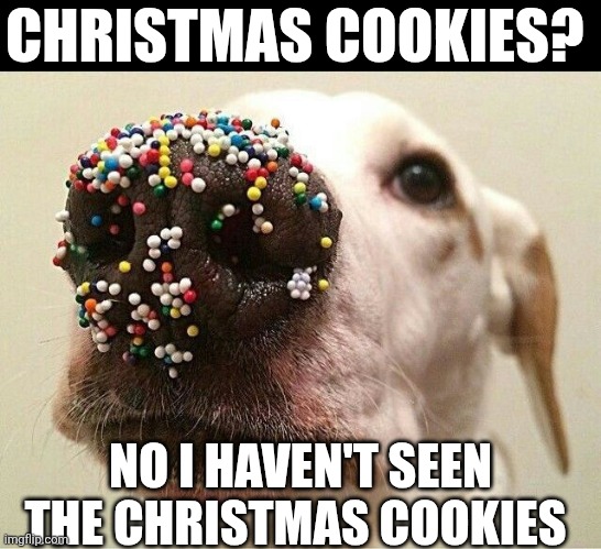 Christmas Cookies? | CHRISTMAS COOKIES? NO I HAVEN'T SEEN THE CHRISTMAS COOKIES | image tagged in chrisjoines1 | made w/ Imgflip meme maker