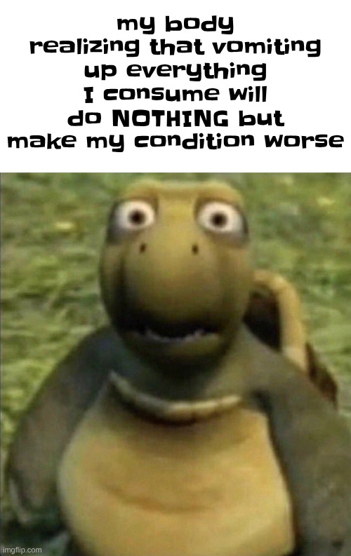 like, no shit sherlock | my body realizing that vomiting up everything I consume will do NOTHING but make my condition worse | image tagged in shocked turtle | made w/ Imgflip meme maker