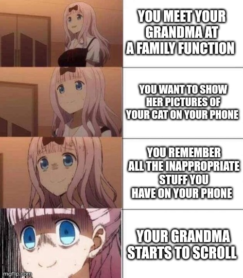 Luckily she didn't find any of the inappropriate stuff. | YOU MEET YOUR GRANDMA AT A FAMILY FUNCTION; YOU WANT TO SHOW HER PICTURES OF YOUR CAT ON YOUR PHONE; YOU REMEMBER ALL THE INAPPROPRIATE STUFF YOU HAVE ON YOUR PHONE; YOUR GRANDMA STARTS TO SCROLL | image tagged in chika template | made w/ Imgflip meme maker